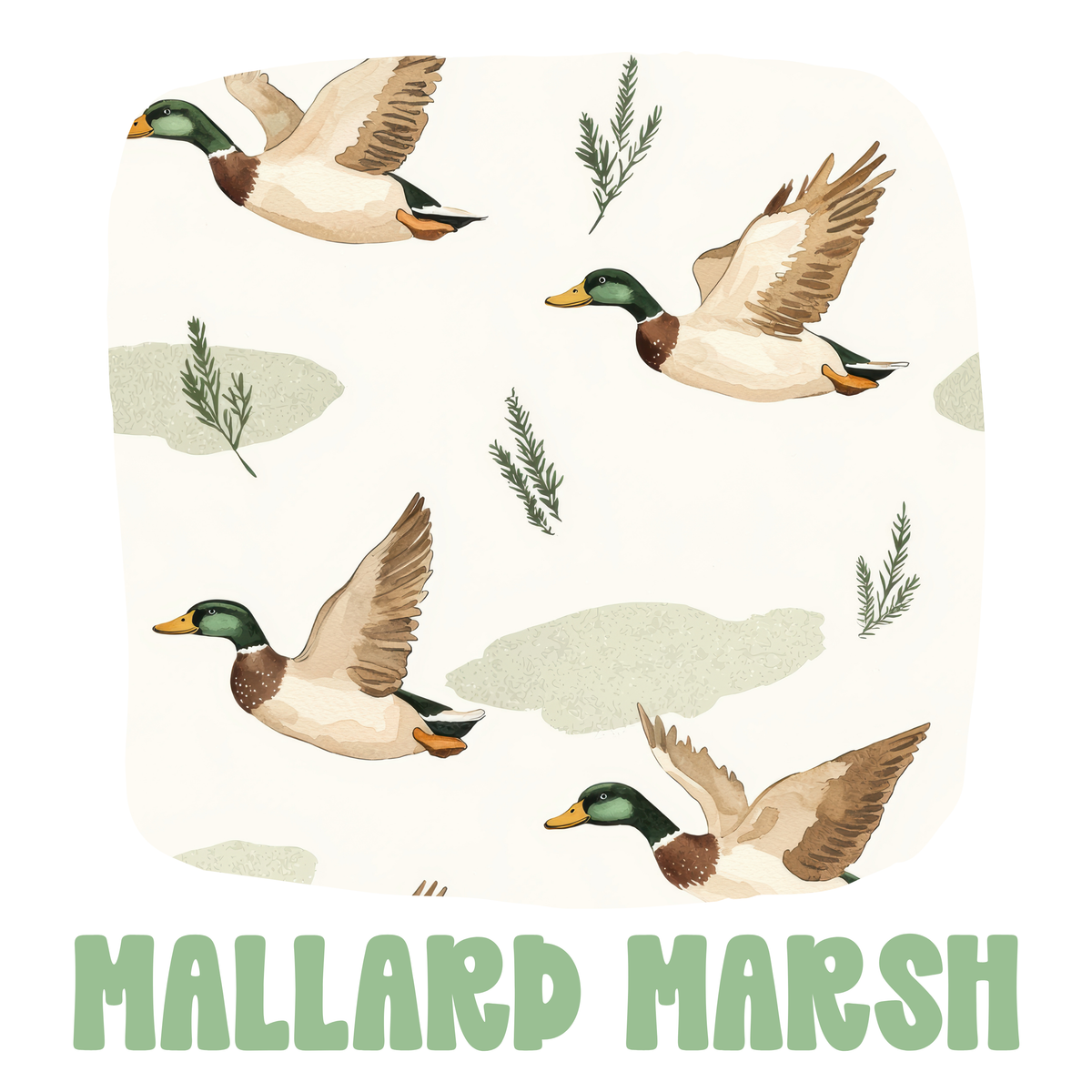 Mallard Marsh | ETA FEBRUARY